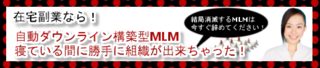ネットでMLMバナー5.png